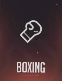 Rainbet Boxing Wetten Österreich